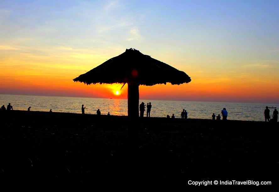 Palm Trees Thatched Beach Umbrella at Kuzhupilly Beach