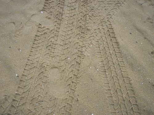 Wheel Treads on Mandarmani Beach