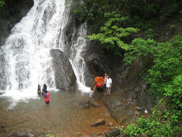 Cotigao Wildlife Sanctuary Goa