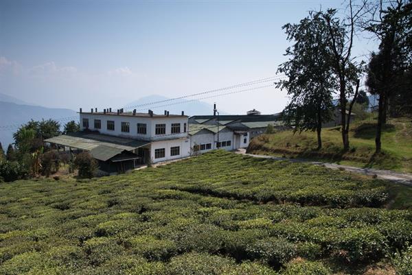 Top Tourist Places in South Sikkim