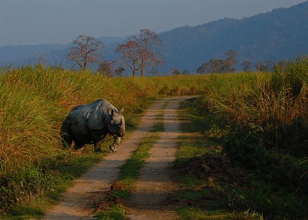 UNESCO World Heritage Site in India