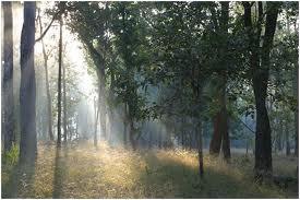 View of Pench National Park