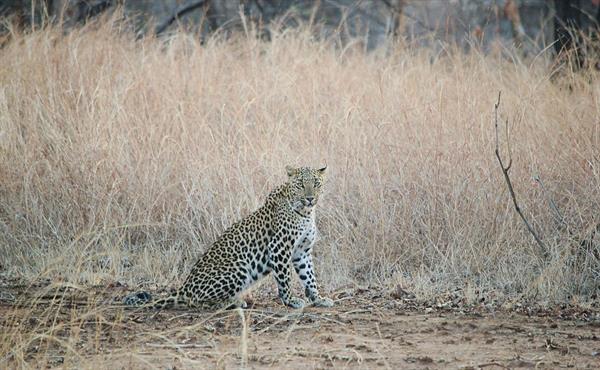 Panna National Park