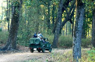 Maruti Gypsy in Kanha National Park