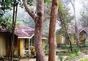 Wild Chalet resorts Kanha national park