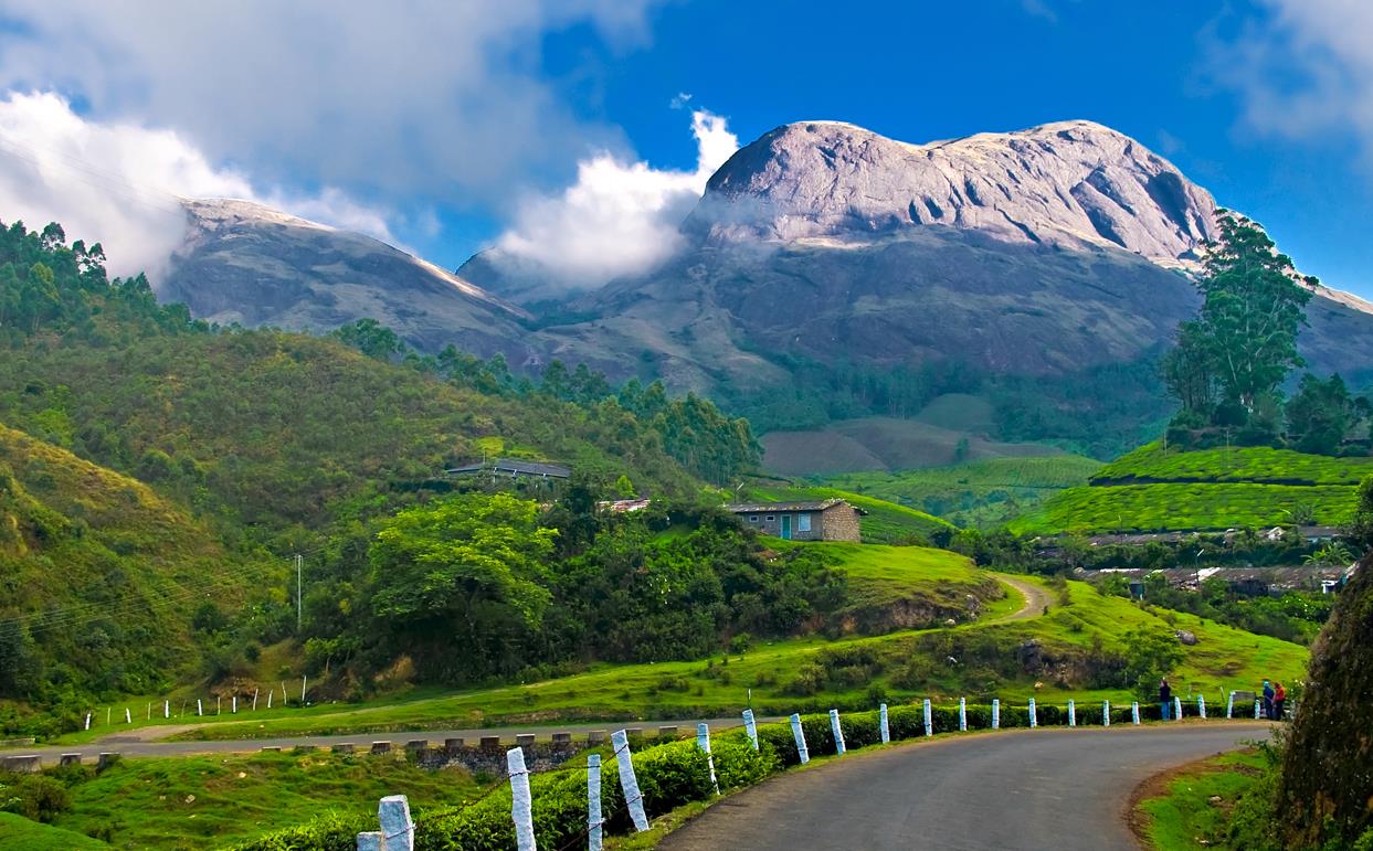 Munnar,Best Tourist Places in Kerala you Must Visit