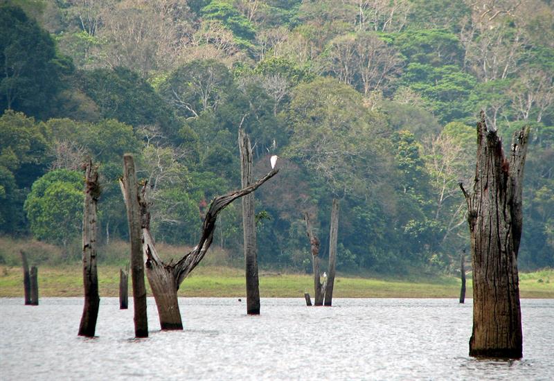 Thekady,Best Tourist Places in Kerala you Must Visit
