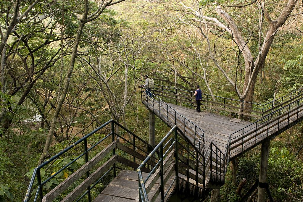 Thenmala, Best Tourist Places in Kerala
