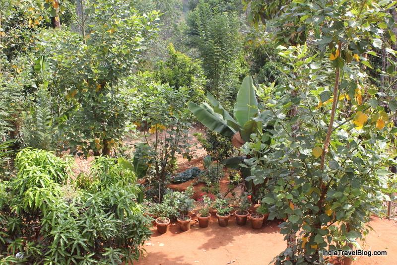 LizMerry Casa - Vegetable Garden View