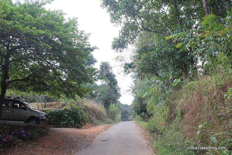 LizMerry Casa Munnar - View of the road