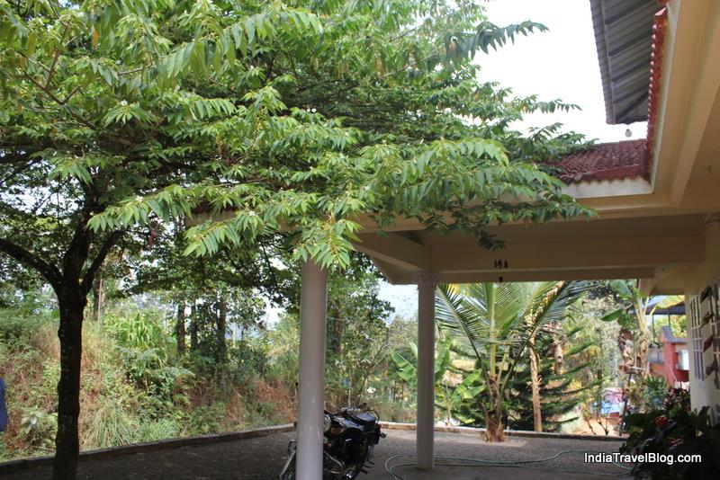 LizMerry Casa - Front porch and shade tree