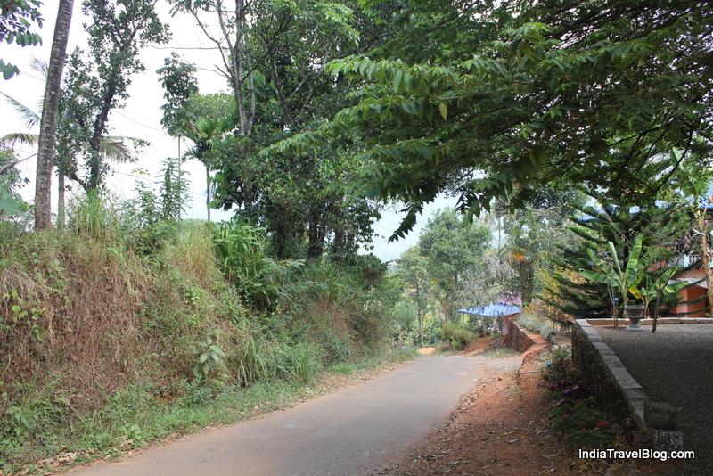Road to LizMerry Casa Munnar
