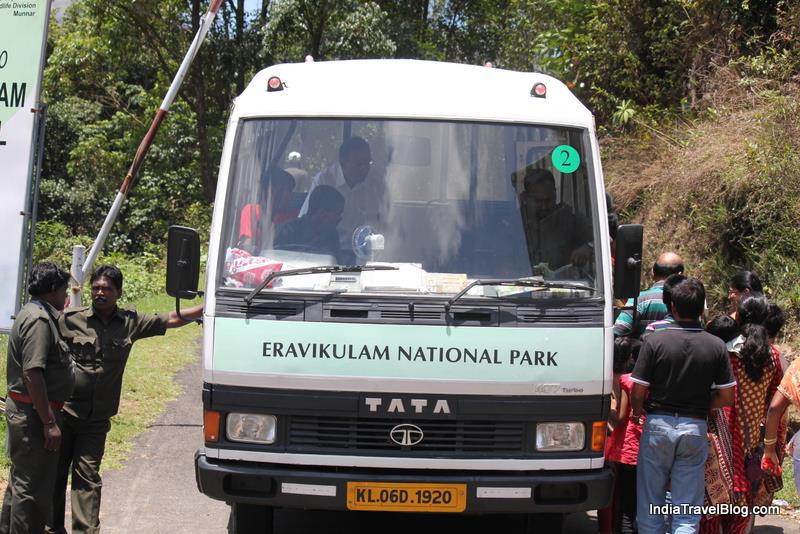 Wild Safari at Eravikulam National Park