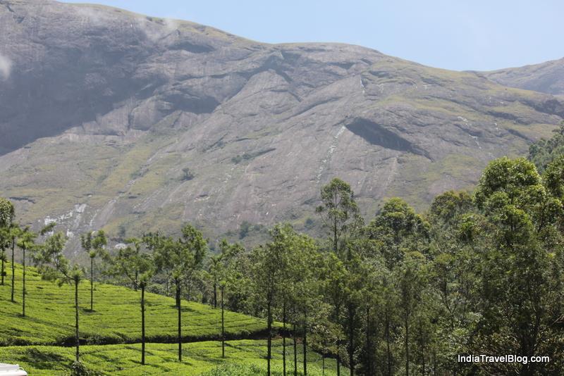 Eravikulam National Park