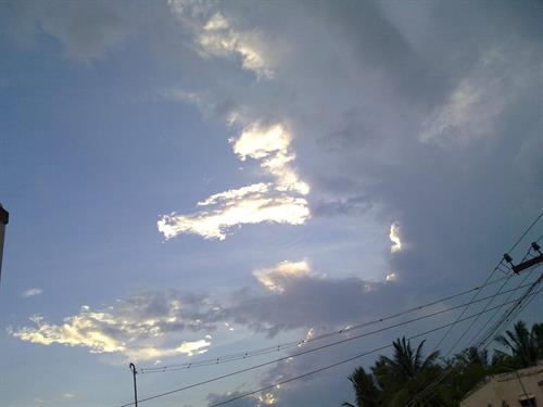 Kuttalam Shencottai road