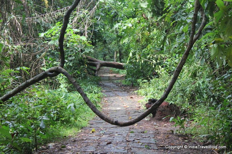 Walking trails in Kumarakom Bird Sanctuary