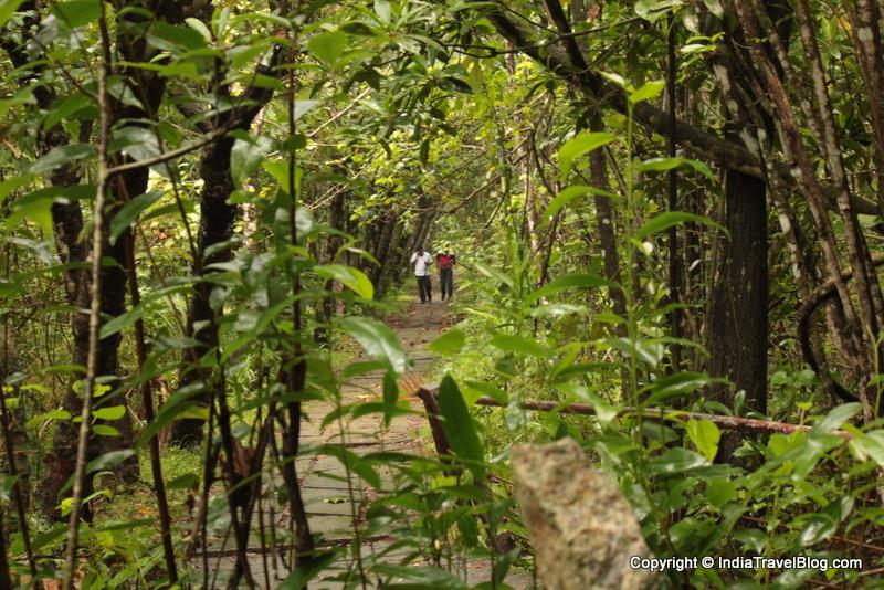 Walking trails in Kumarakom Bird Sanctuary