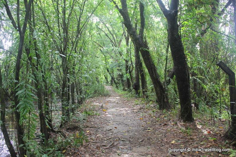 Walking trails in Kumarakom Bird Sanctuary