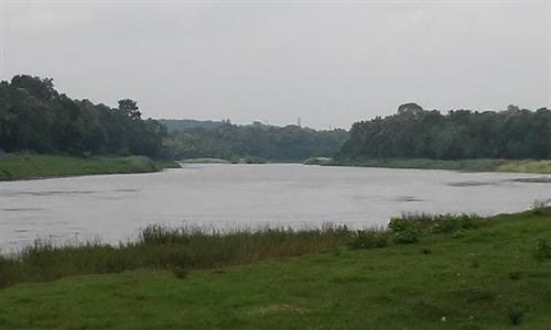 Pampa muddy river banks