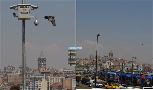 Galata Tower