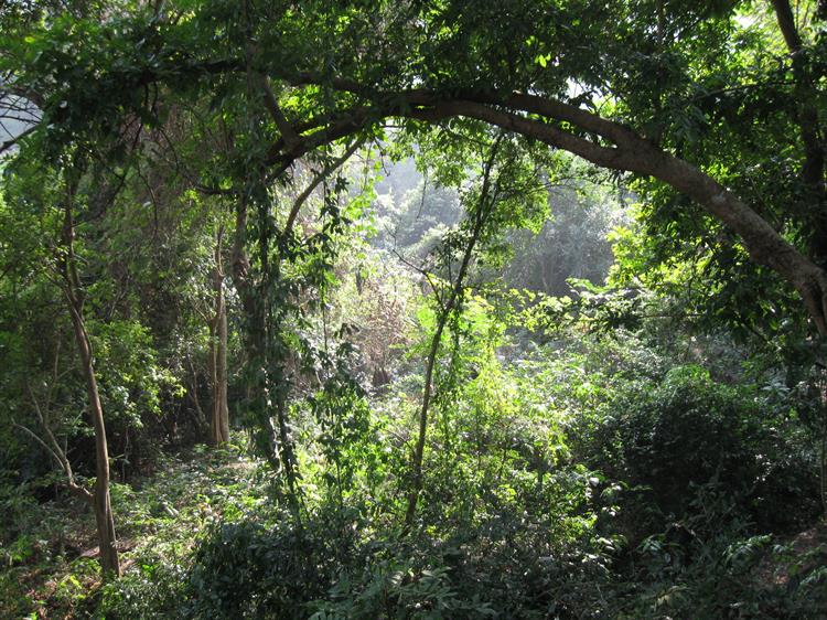 The Trekking Route