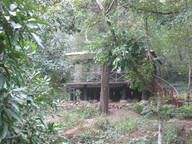 The Forest Cottages