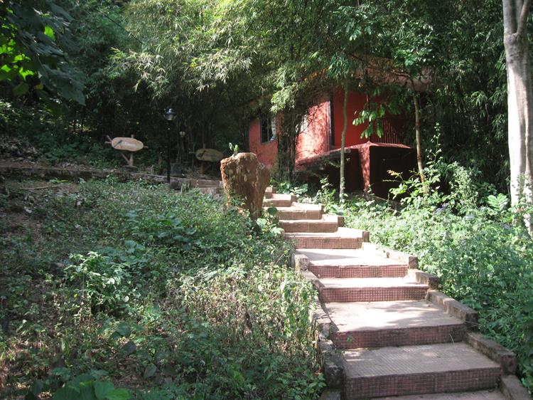 The Alluring Steps