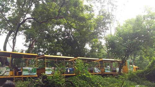 Mini train