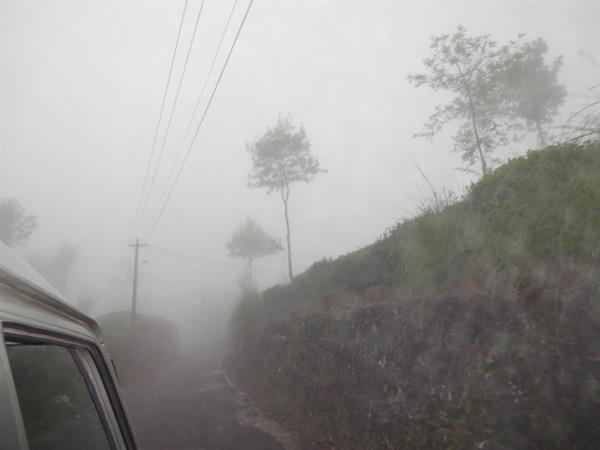 Munnar Hillstation
