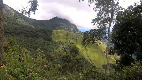 Munnar Topstation view