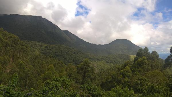 Munnar Topstation
