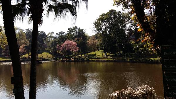 View of Wards Lake