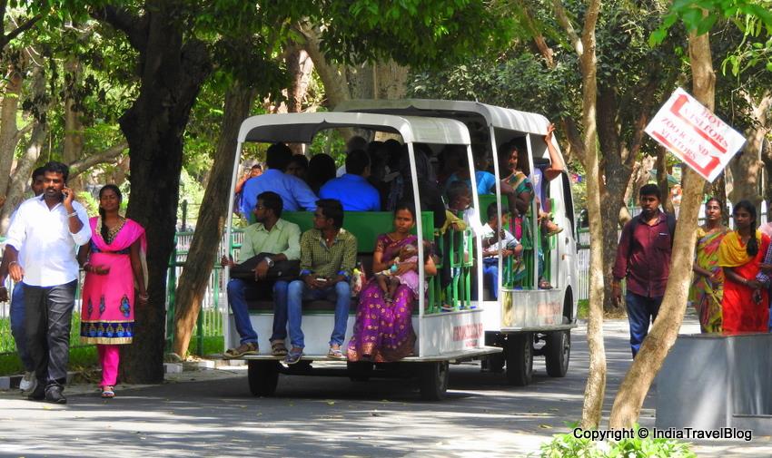 Tourists are enjoying Lion Safari