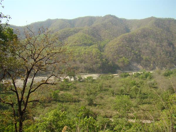 Beautiful Corbett national park
