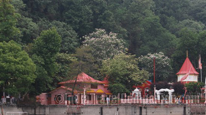 Naina Devi Temple Nainital