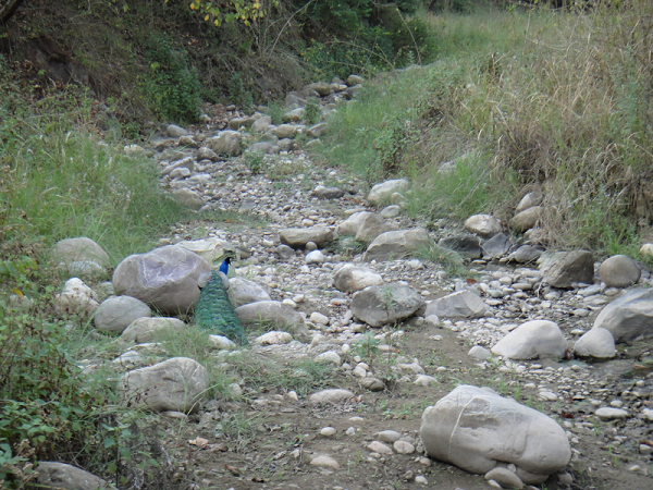 Places around Nainital