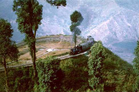 darjeeling