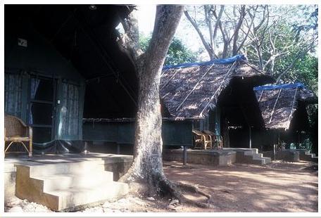 Tented Cottages at Bheemeshwari fishing camp near Bengaluru