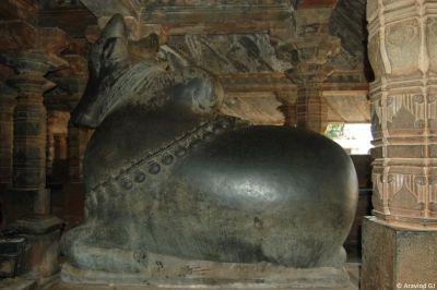 Nandi