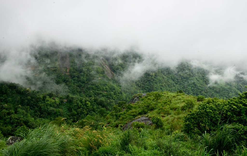 Vagamon-Meadows