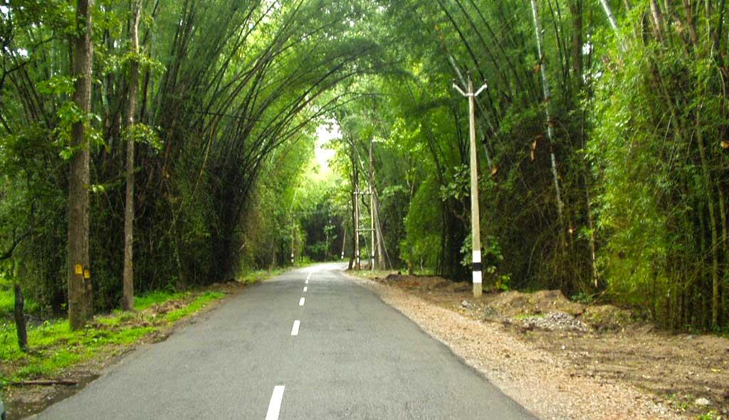 Enroute Wayanad