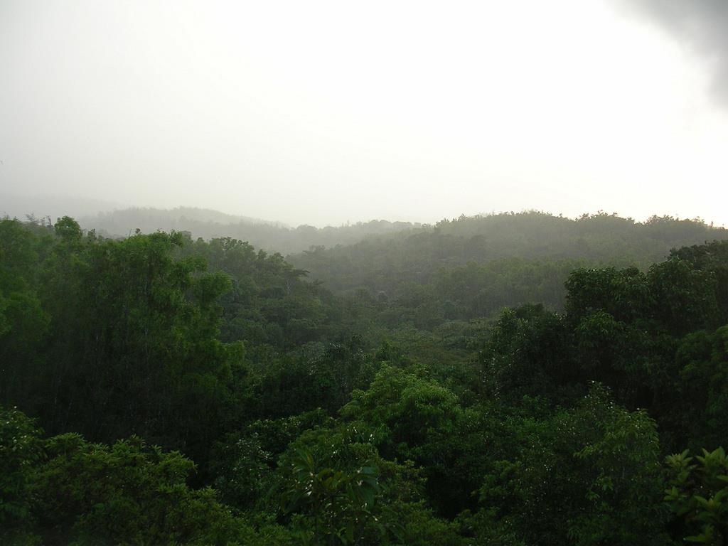 Coorg tourist place in karnataka