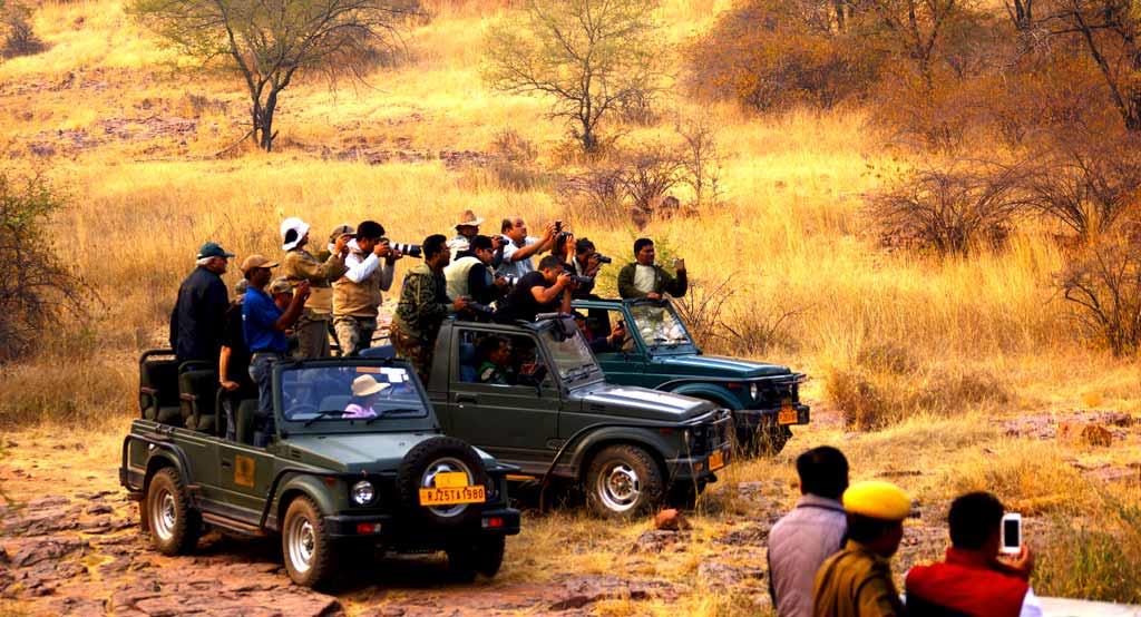 ranthambore best place to visit in rajasthan