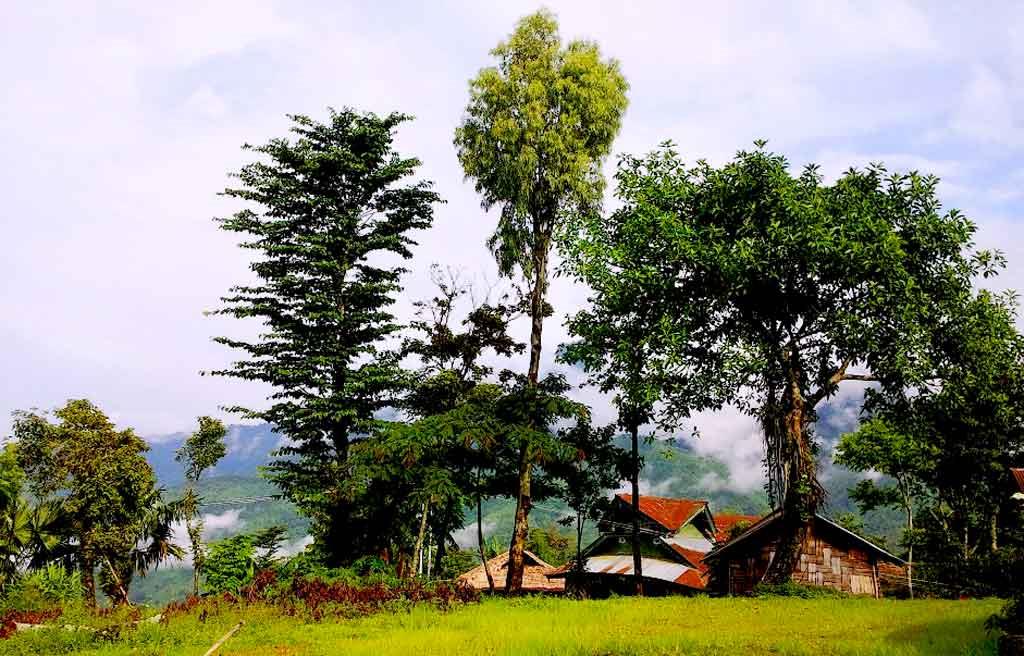 best spot to visit in Nagaland