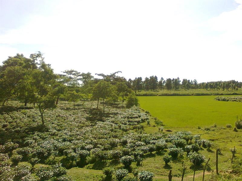 Goalpara, Best Tourist Place in Assam