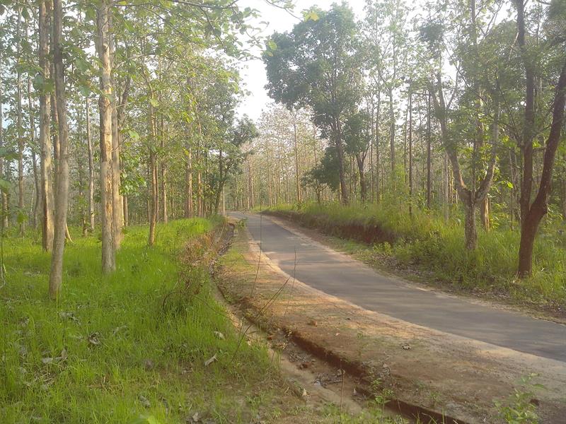 Ambasa, Best Tourist Places in Tripura