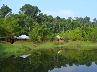 Coorg - Best Monsoon Destination in India