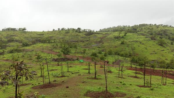 Hill view of Kharghar hills Navi Mumbai
