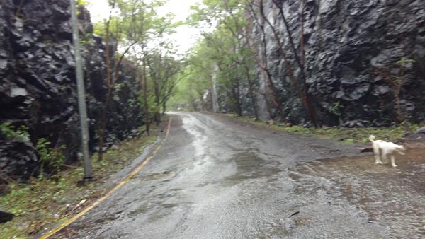 The trek pathway to Kharghar hills Navi Mumbai