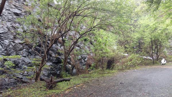 Walking or jogging in Kharghar hills